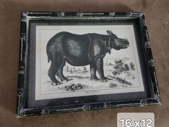 Framed Vintage Rhinoceros Print 16x12