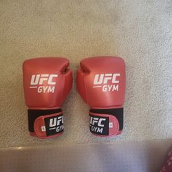 UFC Gym Boxing Gloves