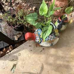 trade for huge teddy bear