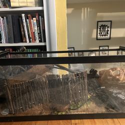 Tank And Accessories 