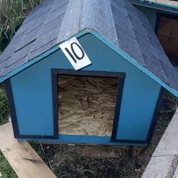 Dog House