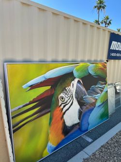 Large Parrot Wall Art – $140 OBO