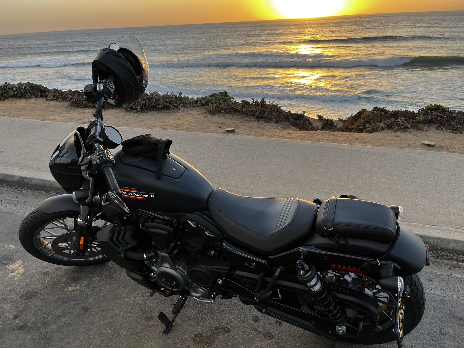 2024 Harley Davidson Nightster Special