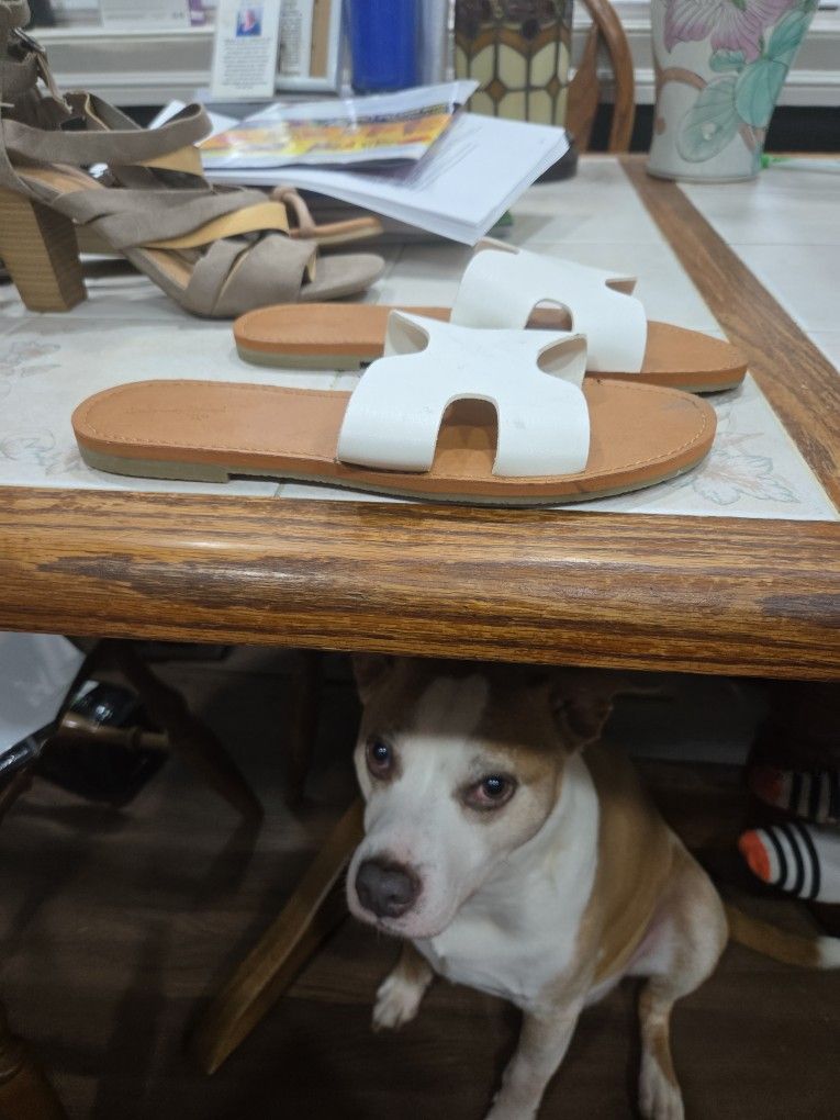 Flip FLOPS