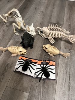 Halloween fish and cat skeletons black rat and big spiders figures they have sounds and lights 40 for everything