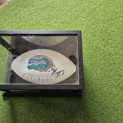 Florida Gator Imobilia 