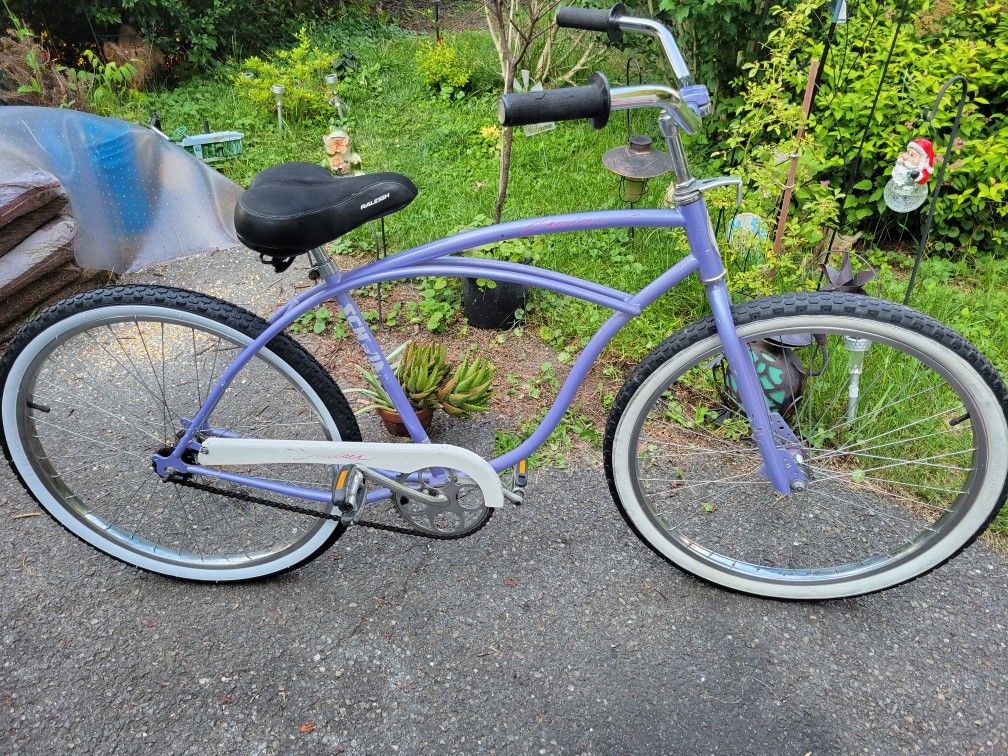 Original Schwinn Cruiser
