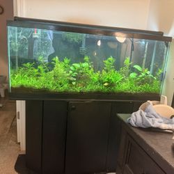 55 Gallon Aquarium with Stand 