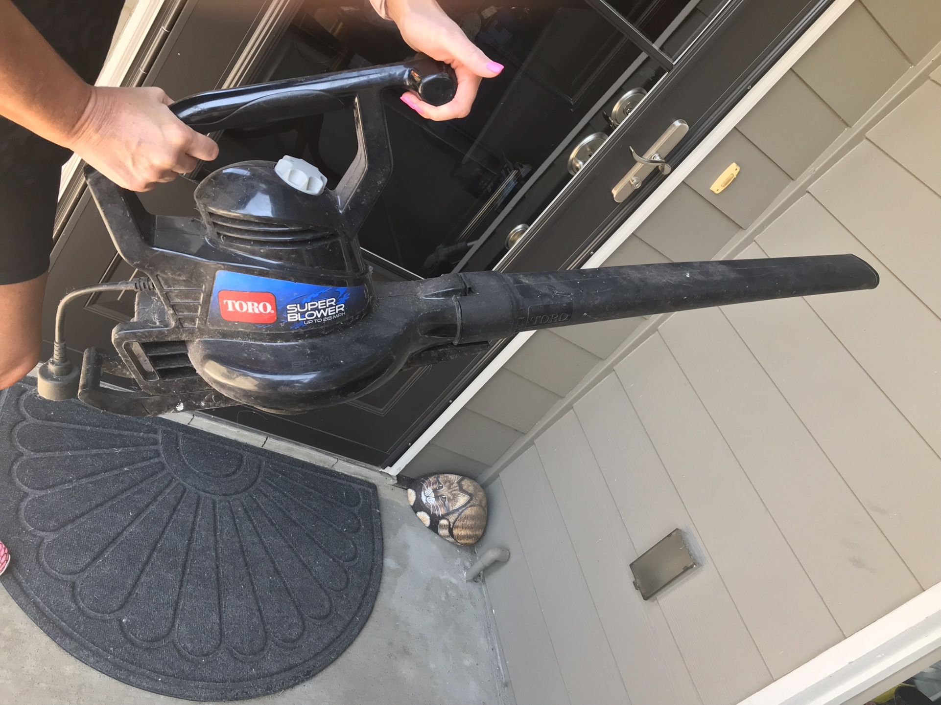 Blower - Electric $15