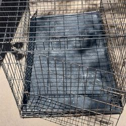 Large Dog Crate