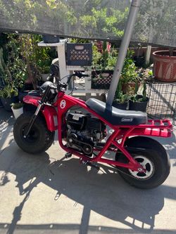 Mini bike