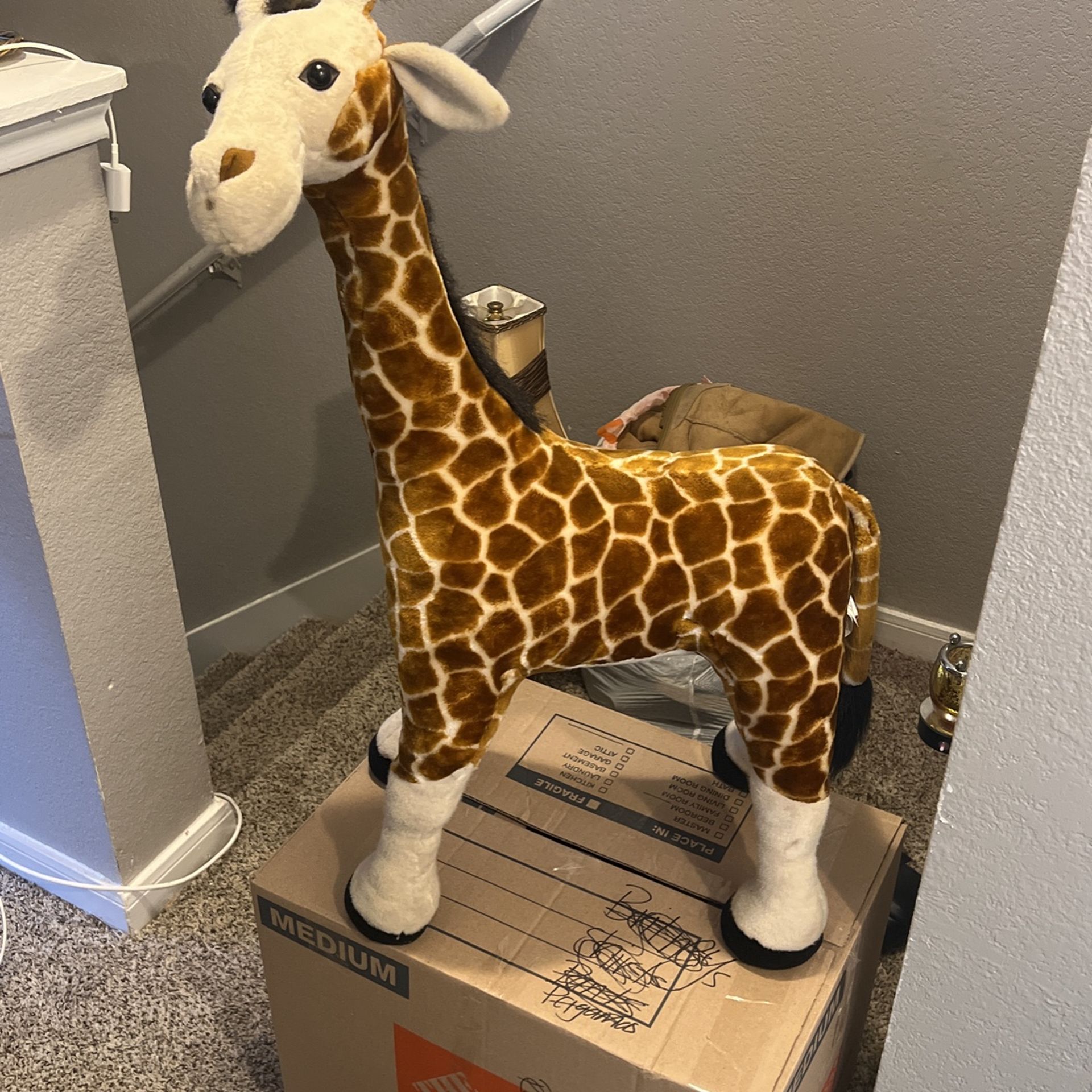Giraffe for Sale in Fort Worth, TX OfferUp