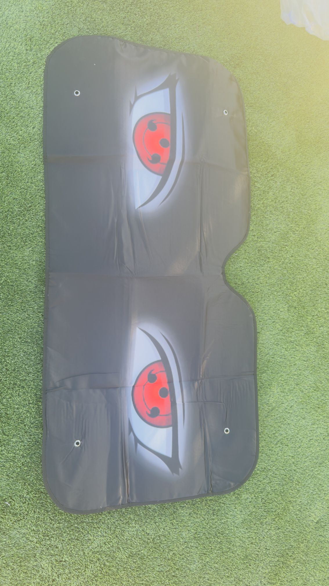 Windshield Protector