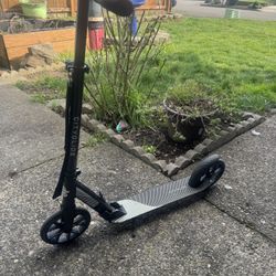 Kick Scooter 220lb Max