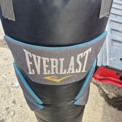 Everlast powershot