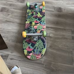 Globe Cruiser Skateboard Complete – Great Condition