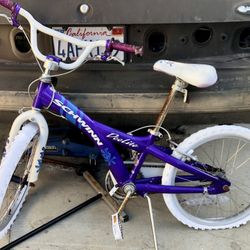 Schwinn Kids Bicycle Purple Girls 