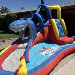 Inflatable Shark Waterside