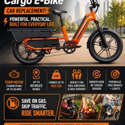 HOVSCO HovCart Cargo E-Bike
