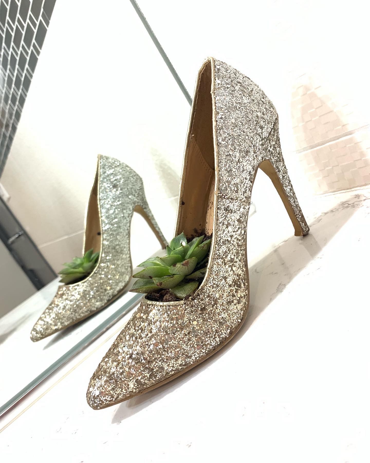 Succulent Gold Shoe Planter