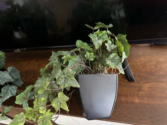 4 artificial plants