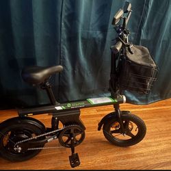 electric bike 