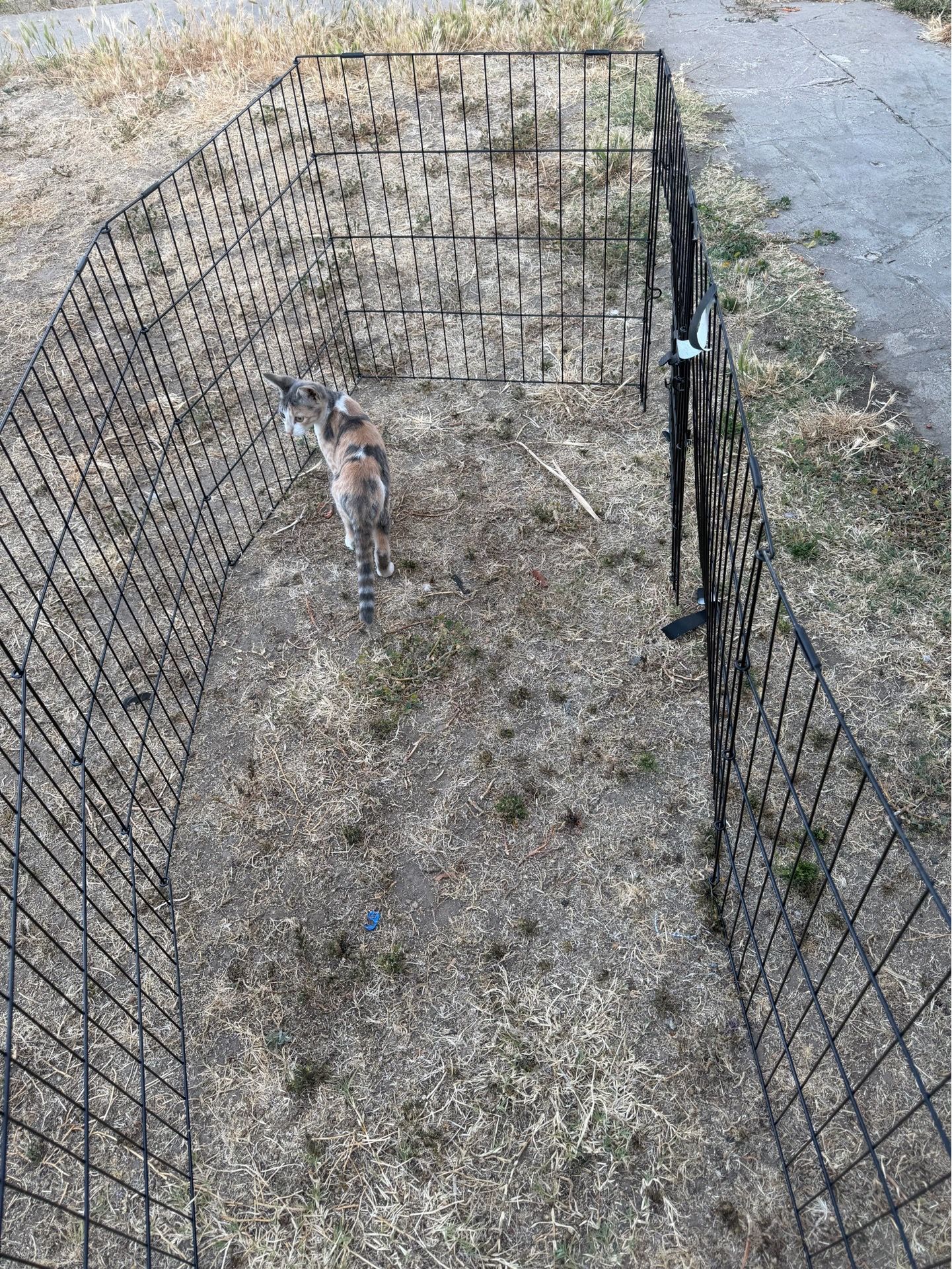 Play pen