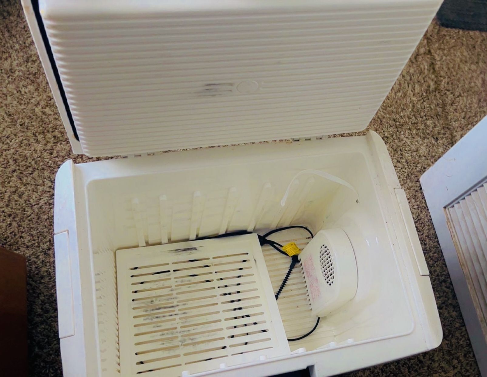 Igloo electric Cooler Picnic/ Trucks / Travel