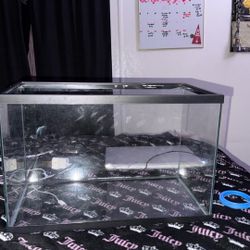 Fish Tank Like New Size 5.5 