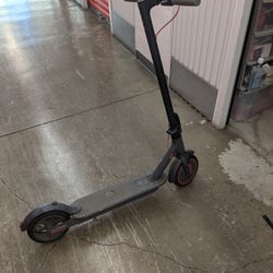 Electric Scooter 