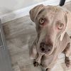 EW