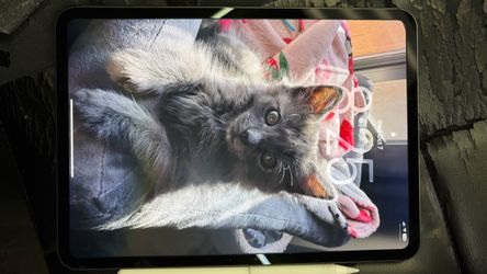 ipad  pro 11inch m5 1tb