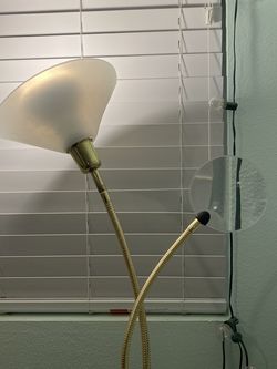 Adjustable light with wheels