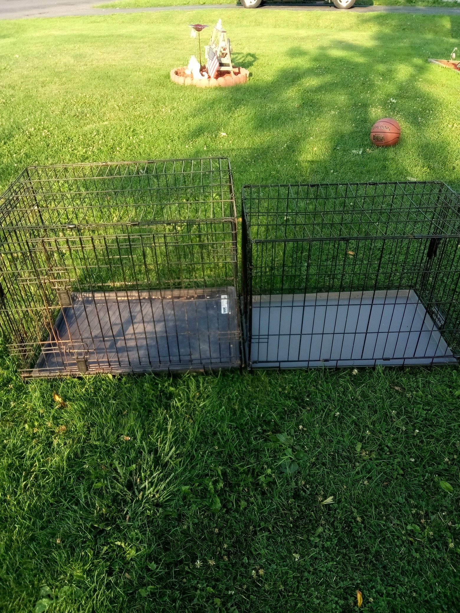 Dog Cages