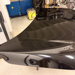 Honda Civic Hood 