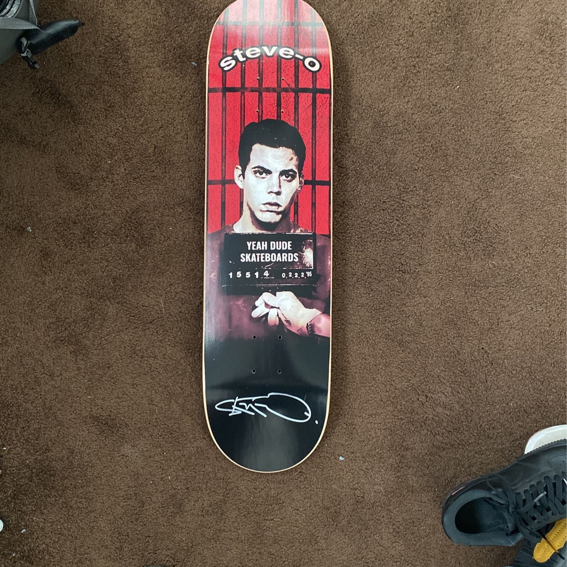 Limited Edition Steve O Signed Skateboard Deck