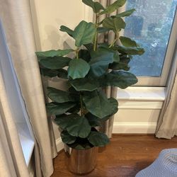 Fake Plant
