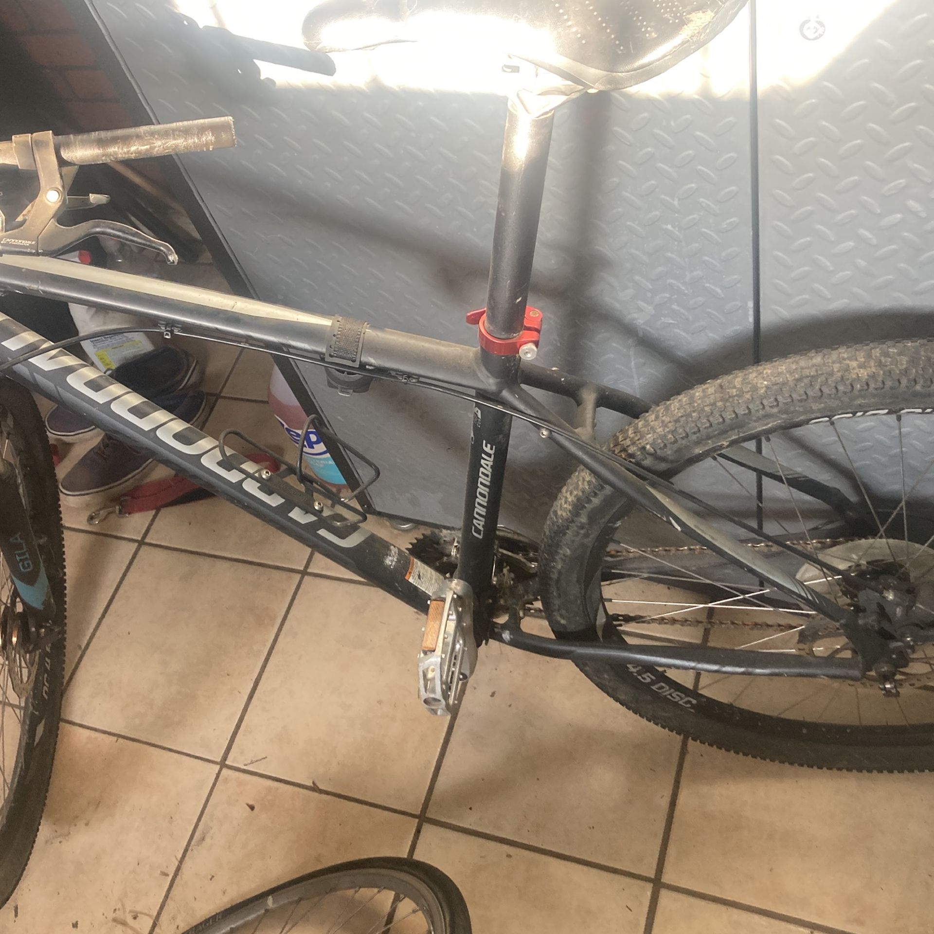 Mountain Bike