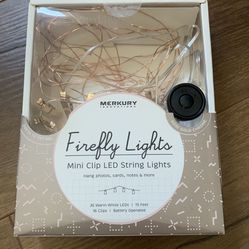 Firefly lights- Mini Clip String Lights