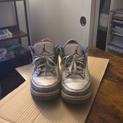 Air Jordan 3s True Blues 2016