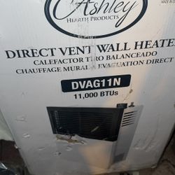 Ashley Direct Vent Wall Heater 