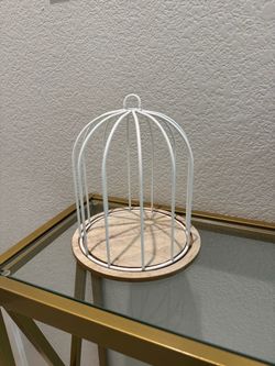 Small birdcage display