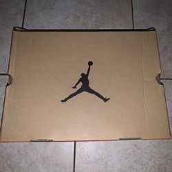 Air Jordan 12 Reverse flu Games