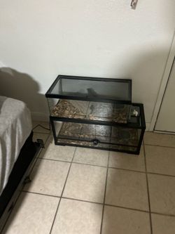reptile tank