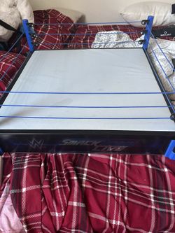 WWE Scale Ring Smackdown Live 