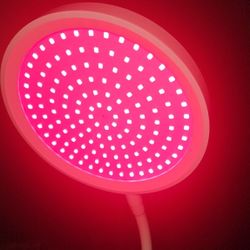 Red Light Therapy 