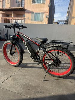 EoEoTwo Electric Bike