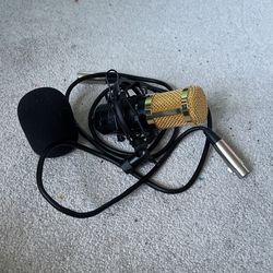 Studio microphone