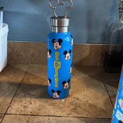 Wake Disney World Water Bottle.