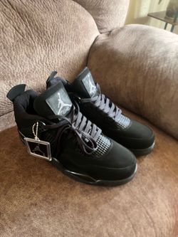 Black cats